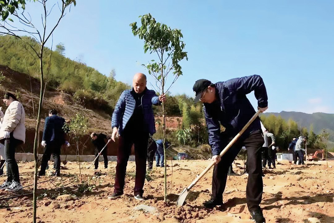 江投集团直属机关联合江投地产开展植树护绿活动