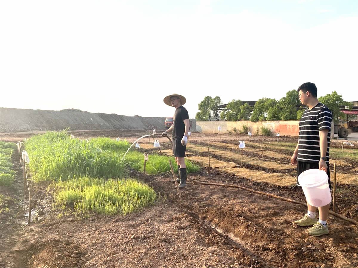 团队精心管理“实验田”植物