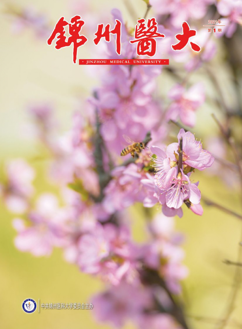 第1期
