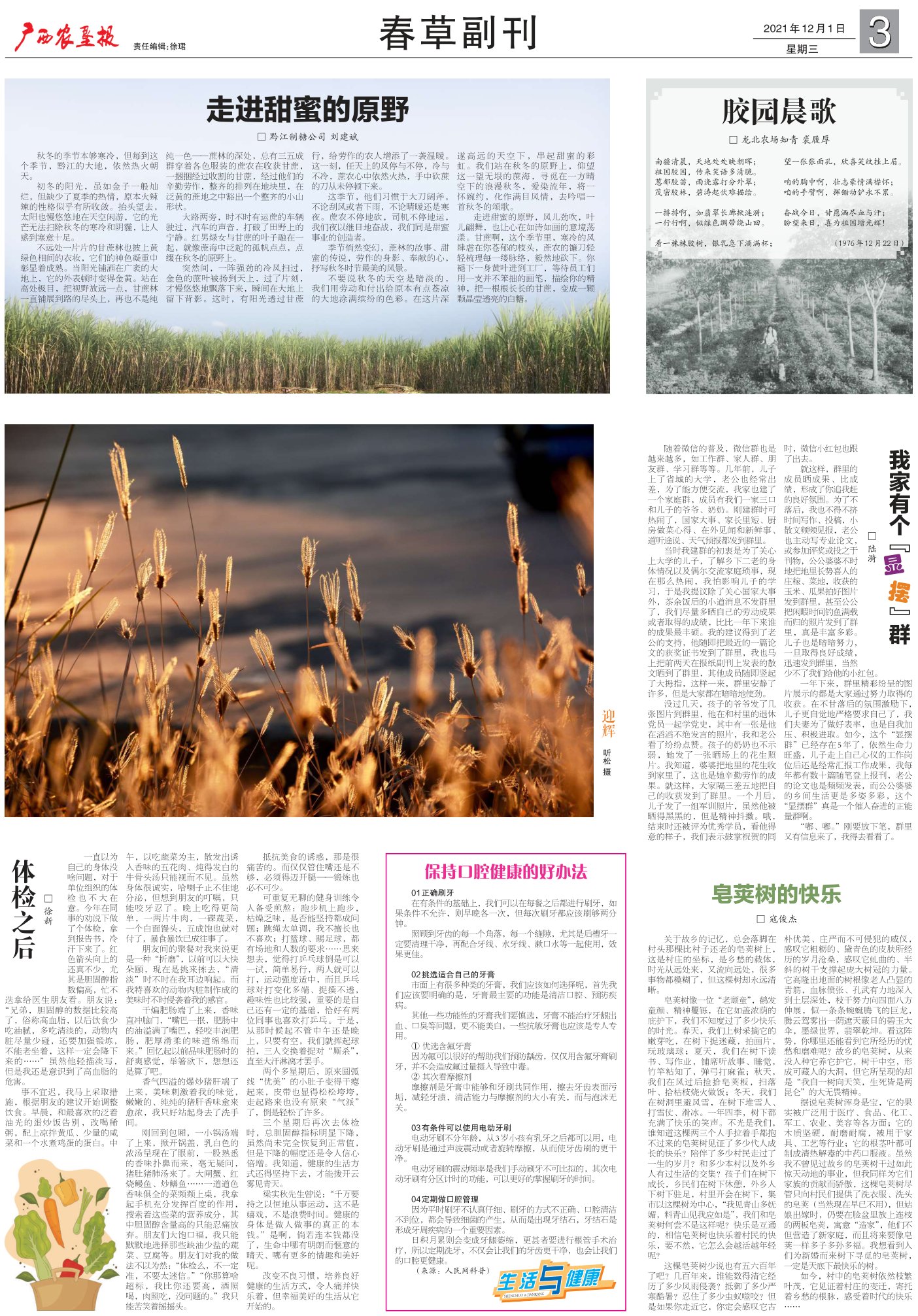 《广西农垦报》