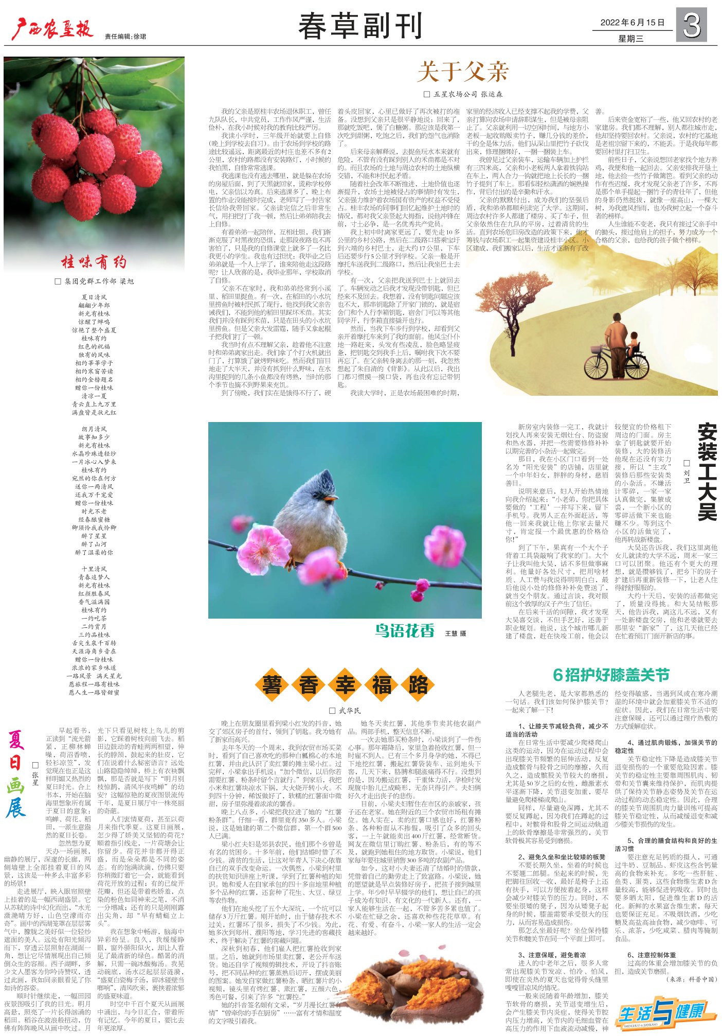 《广西农垦报》