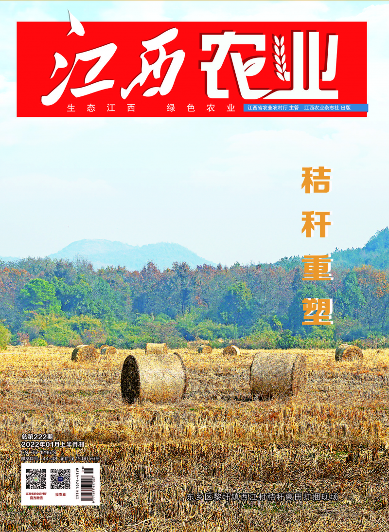 第1期
