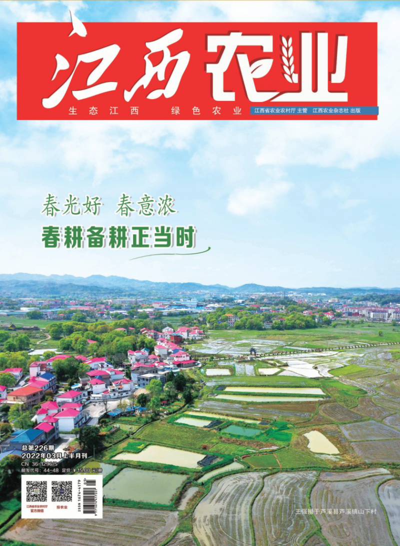 第5期