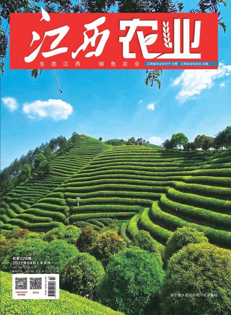 第228期